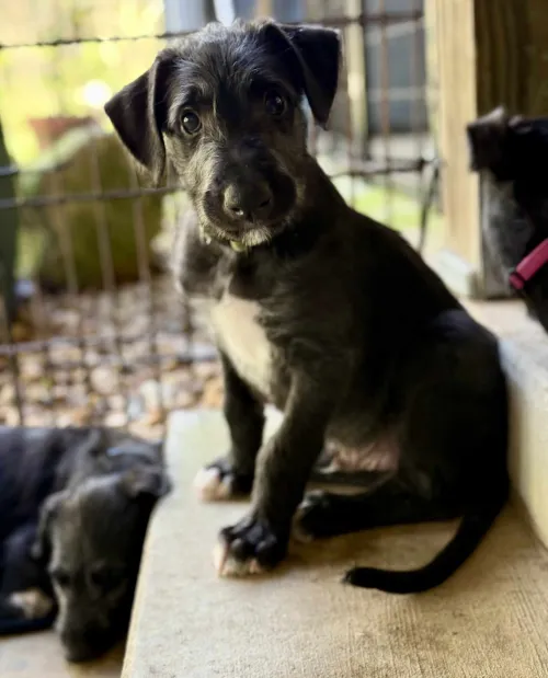 Green boy sitting on porch step